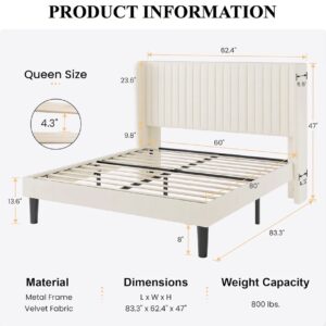 Luxury Bed Frame - Queen Size